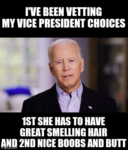 Joe Biden 2020 | I'VE BEEN VETTING MY VICE PRESIDENT CHOICES; 1ST SHE HAS TO HAVE GREAT SMELLING HAIR AND 2ND NICE BOOBS AND BUTT | image tagged in joe biden 2020 | made w/ Imgflip meme maker