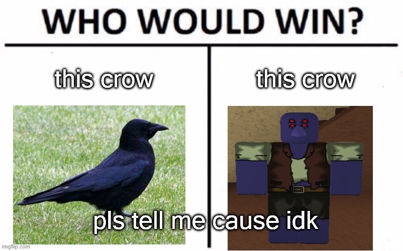 e a sports | this crow; this crow; pls tell me cause idk | image tagged in memes,who would win | made w/ Imgflip meme maker