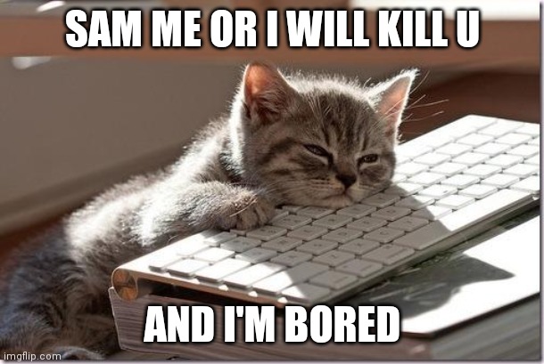 Bleet. | SAM ME OR I WILL KILL U; AND I'M BORED | image tagged in bored keyboard cat | made w/ Imgflip meme maker