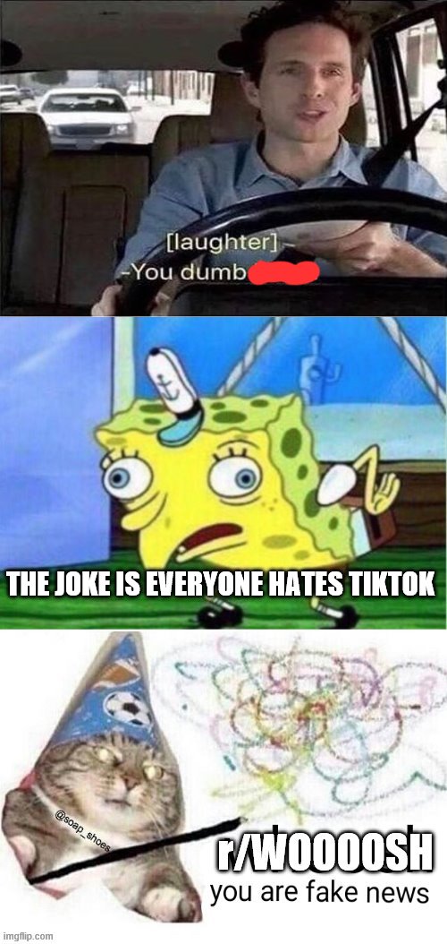 r/WOOOOSH | THE JOKE IS EVERYONE HATES TIKTOK | image tagged in r/woooosh | made w/ Imgflip meme maker