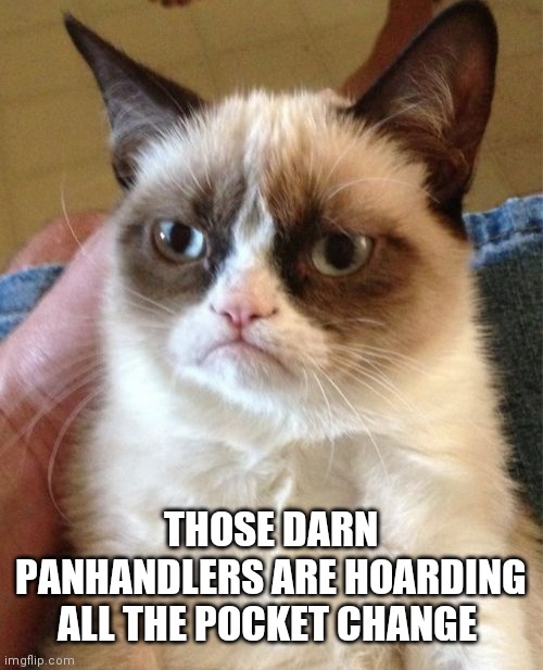 I knew they were up to something | THOSE DARN PANHANDLERS ARE HOARDING ALL THE POCKET CHANGE | image tagged in memes,grumpy cat | made w/ Imgflip meme maker