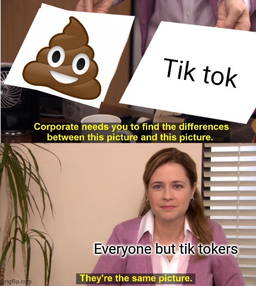 They're The Same Picture Meme | Tik tok; Everyone but tik tokers | image tagged in memes,they're the same picture | made w/ Imgflip meme maker