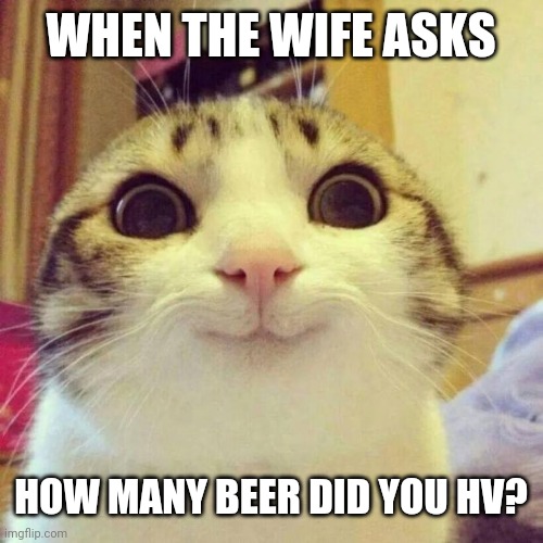 Smiling Cat Meme | WHEN THE WIFE ASKS; HOW MANY BEER DID YOU HV? | image tagged in memes,smiling cat | made w/ Imgflip meme maker