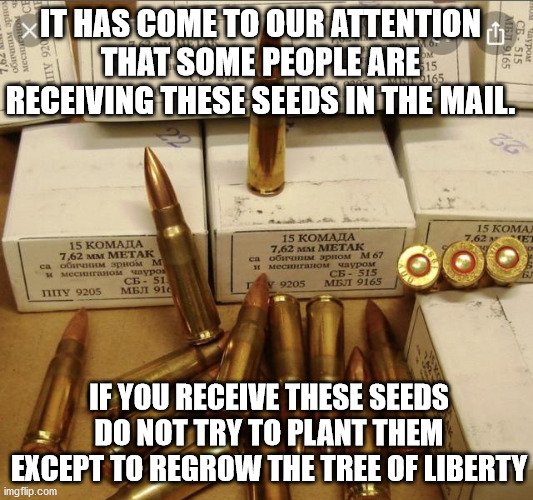 Freedom seeds | IT HAS COME TO OUR ATTENTION THAT SOME PEOPLE ARE RECEIVING THESE SEEDS IN THE MAIL. IF YOU RECEIVE THESE SEEDS DO NOT TRY TO PLANT THEM EXCEPT TO REGROW THE TREE OF LIBERTY | image tagged in seeds,bullets,freedom seeds,tree of liberty | made w/ Imgflip meme maker