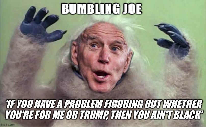 Bumbling Joe | BUMBLING JOE; 'IF YOU HAVE A PROBLEM FIGURING OUT WHETHER YOU'RE FOR ME OR TRUMP, THEN YOU AIN'T BLACK' | image tagged in bumbling biden,joe biden,bumbles | made w/ Imgflip meme maker