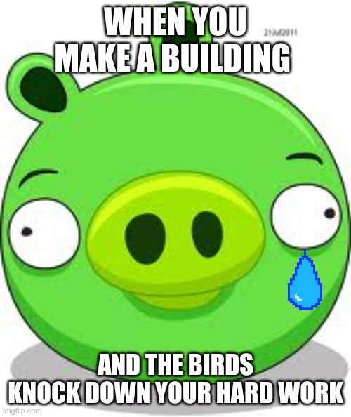 : ( | BRUH IMA EAT YOUR EGG FOR THAT; WHEN YOU MAKE A BUILDING; AND THE BIRDS KNOCK DOWN YOUR HARD WORK | image tagged in memes,angry birds pig | made w/ Imgflip meme maker