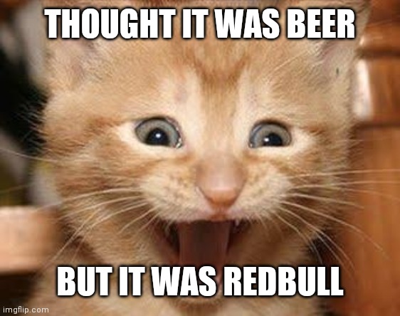 Excited Cat | THOUGHT IT WAS BEER; BUT IT WAS REDBULL | image tagged in memes,excited cat | made w/ Imgflip meme maker