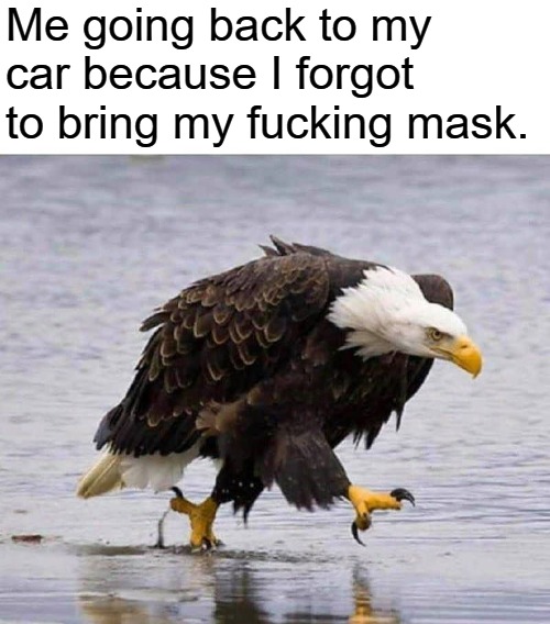 Me going back to my car because I forgot to bring my fucking mask. | Me going back to my car because I forgot to bring my fucking mask. | image tagged in the mask,face mask,covidiots,unmasked,uncle sam i want you to mask n95 covid coronavirus,covid 19 | made w/ Imgflip meme maker