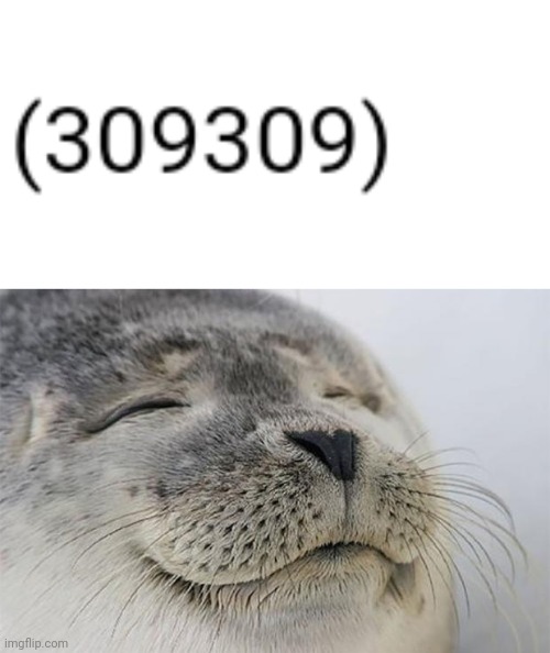 image tagged in memes,satisfied seal | made w/ Imgflip meme maker