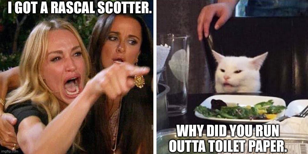 Cat | I GOT A RASCAL SCOTTER. WHY DID YOU RUN OUTTA TOILET PAPER. | image tagged in smudge the cat | made w/ Imgflip meme maker