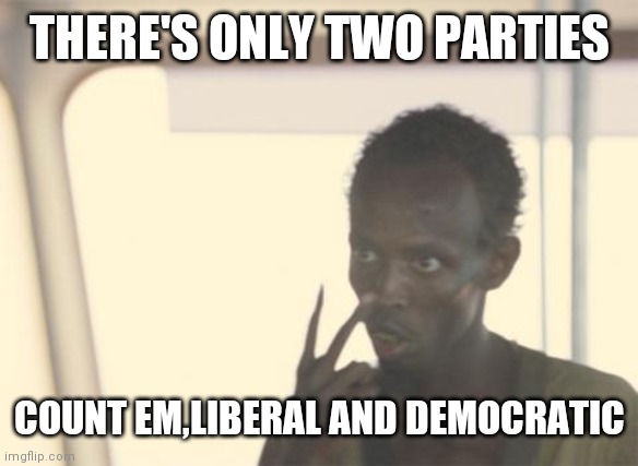 I'm The Captain Now | THERE'S ONLY TWO PARTIES; COUNT EM,LIBERAL AND DEMOCRATIC | image tagged in memes,i'm the captain now | made w/ Imgflip meme maker