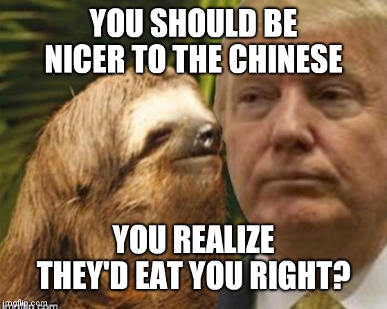 Political advice sloth | YOU SHOULD BE NICER TO THE CHINESE; YOU REALIZE THEY'D EAT YOU RIGHT? | image tagged in political advice sloth | made w/ Imgflip meme maker