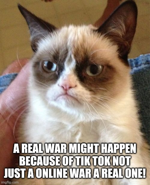 Grumpy Cat Meme | A REAL WAR MIGHT HAPPEN BECAUSE OF TIK TOK NOT JUST A ONLINE WAR A REAL ONE! | image tagged in memes,grumpy cat | made w/ Imgflip meme maker