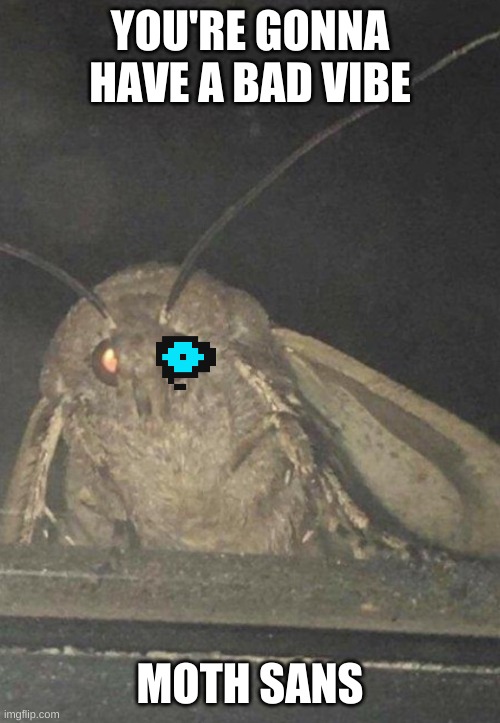 Moth | YOU'RE GONNA HAVE A BAD VIBE; MOTH SANS | image tagged in moth | made w/ Imgflip meme maker