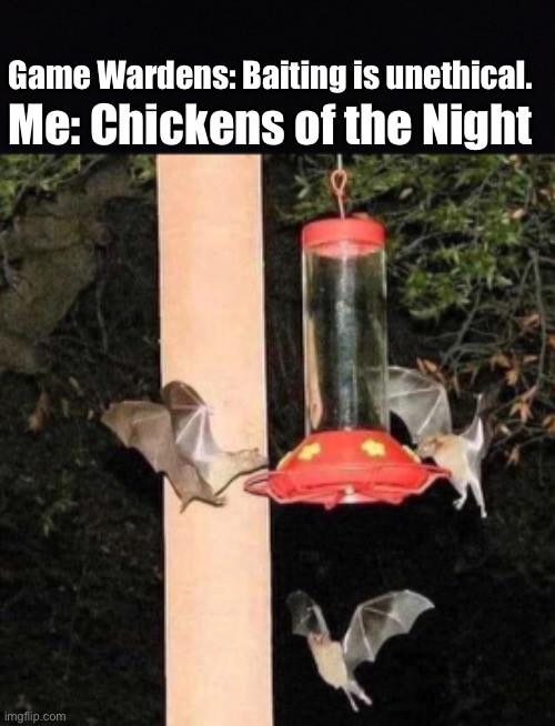 Why pay delivery | Game Wardens: Baiting is unethical. Me: Chickens of the Night | image tagged in hunting,fast food,locally sourced,exotic foods,food memes | made w/ Imgflip meme maker