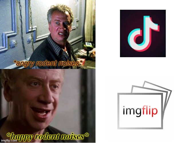 imgflip is the best | image tagged in rodent drake template,memes,tik tok,imgflip | made w/ Imgflip meme maker