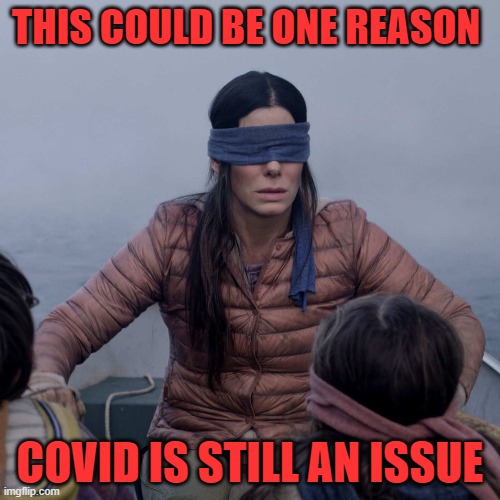 vague but true | THIS COULD BE ONE REASON; COVID IS STILL AN ISSUE | image tagged in memes,bird box | made w/ Imgflip meme maker
