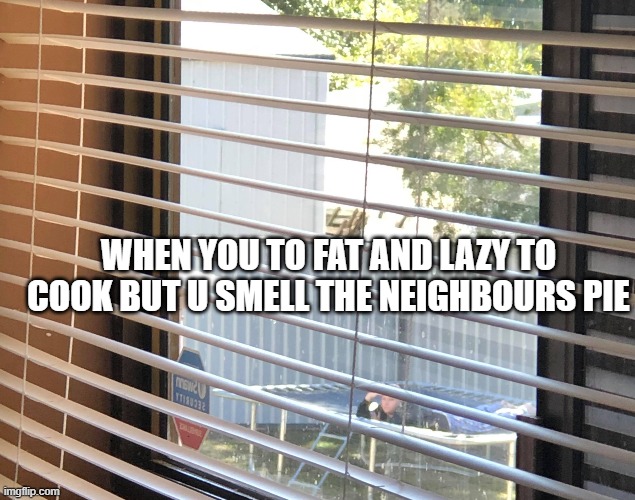 pie | WHEN YOU TO FAT AND LAZY TO COOK BUT U SMELL THE NEIGHBOURS PIE; WHEN YOU TO FAT AND LAZY TO COOK BUT U SMELL THE NEIGHBOURS PIE | image tagged in funny food | made w/ Imgflip meme maker
