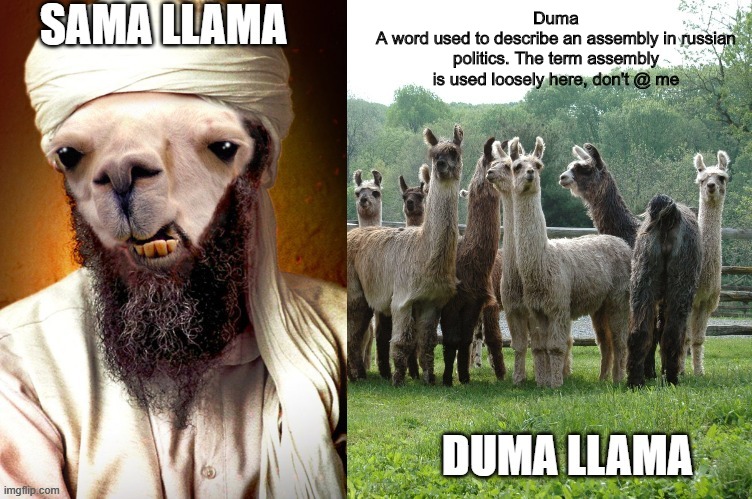 For those Eminem fans out there | Duma
A word used to describe an assembly in russian politics. The term assembly is used loosely here, don't @ me | image tagged in llama,eminem,rapgod,rapmemes | made w/ Imgflip meme maker