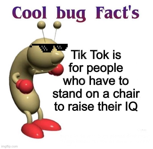Cool Bug Facts | Tik Tok is for people who have to stand on a chair to raise their IQ | image tagged in cool bug facts,tik tok sucks,whos with me | made w/ Imgflip meme maker