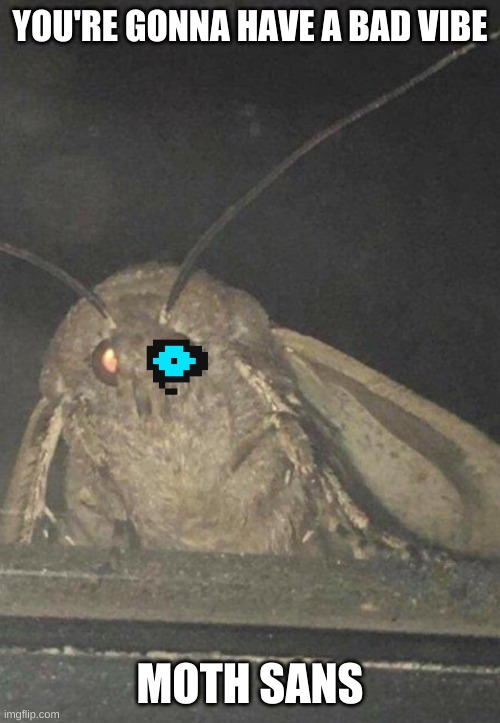 funny haha sans | YOU'RE GONNA HAVE A BAD VIBE; MOTH SANS | image tagged in moth | made w/ Imgflip meme maker