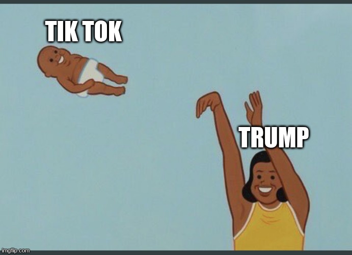 YEET | TIK TOK; TRUMP | image tagged in baby yeet | made w/ Imgflip meme maker