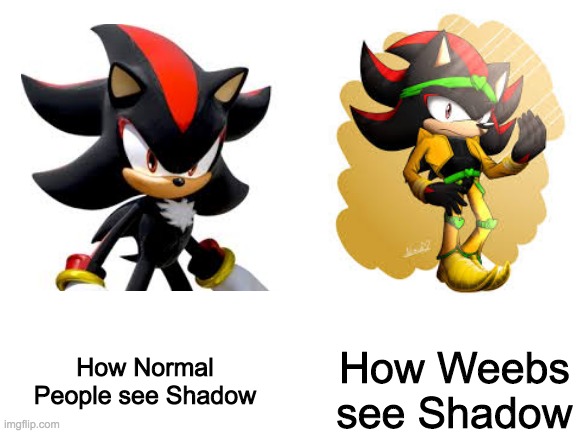 Blank White Template | How Weebs see Shadow; How Normal People see Shadow | image tagged in blank white template | made w/ Imgflip meme maker