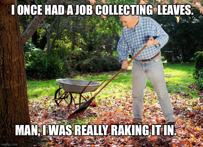 I was raking it in | I ONCE HAD A JOB COLLECTING  LEAVES. MAN, I WAS REALLY RAKING IT IN. | image tagged in man raking,leaves,job,dad joke,meme,funny | made w/ Imgflip meme maker