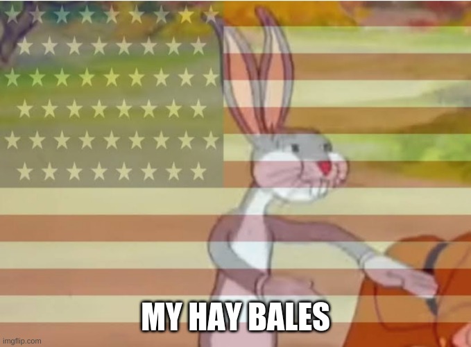 Capitalist Bugs bunny | MY HAY BALES | image tagged in capitalist bugs bunny | made w/ Imgflip meme maker