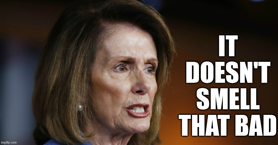 Angry Nancy Pelosi | IT DOESN'T SMELL THAT BAD | image tagged in angry nancy pelosi | made w/ Imgflip meme maker