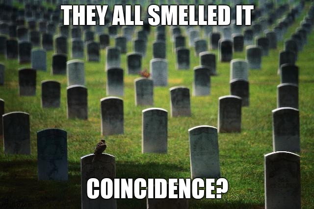 graveyard cemetary | THEY ALL SMELLED IT COINCIDENCE? | image tagged in graveyard cemetary | made w/ Imgflip meme maker