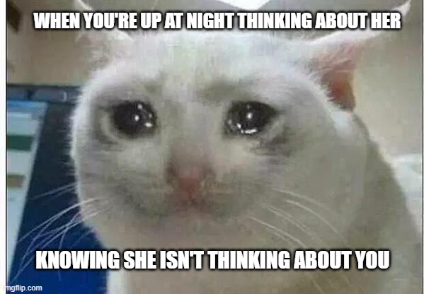 Night | WHEN YOU'RE UP AT NIGHT THINKING ABOUT HER; KNOWING SHE ISN'T THINKING ABOUT YOU | image tagged in crying cat,sad,memes,deep thoughts | made w/ Imgflip meme maker