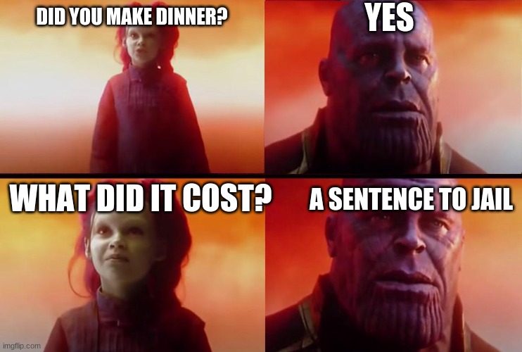 thanos what did it cost | DID YOU MAKE DINNER? YES WHAT DID IT COST? A SENTENCE TO JAIL | image tagged in thanos what did it cost | made w/ Imgflip meme maker