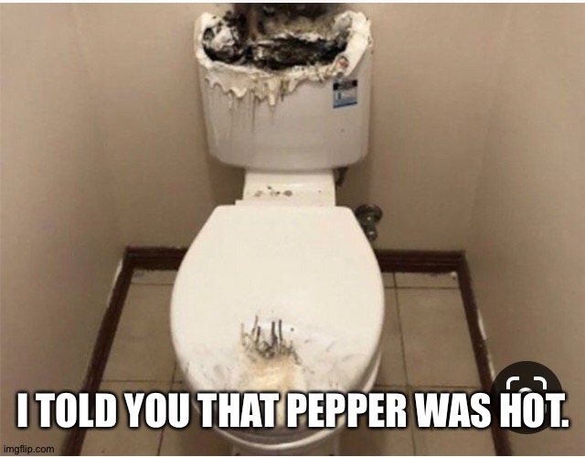 Hot pepper | I TOLD YOU THAT PEPPER WAS HOT. | image tagged in funny memes | made w/ Imgflip meme maker