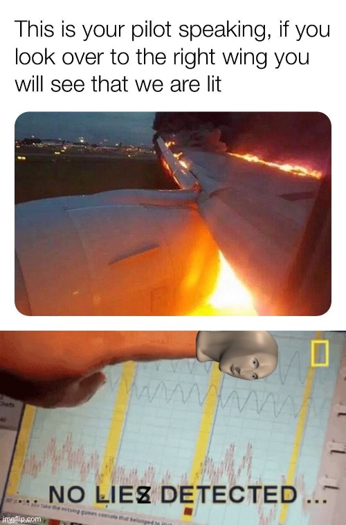 No liez detected | image tagged in no liez detected,lit,flames,uh oh,airplane,plane | made w/ Imgflip meme maker