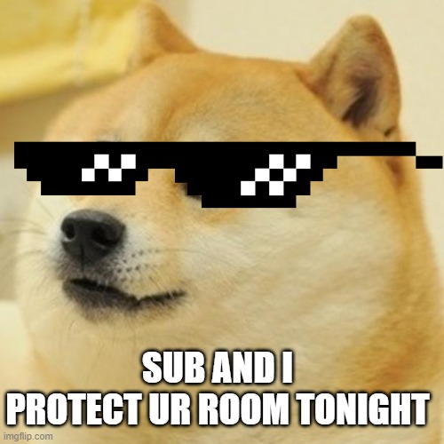 Doge | SUB AND I PROTECT UR ROOM TONIGHT | image tagged in memes,doge | made w/ Imgflip meme maker