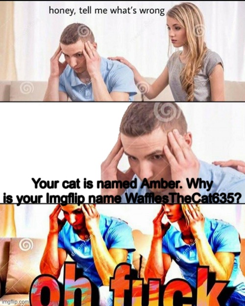 OH F*CK | Your cat is named Amber. Why is your Imgflip name WafflesTheCat635? | image tagged in oh fck | made w/ Imgflip meme maker