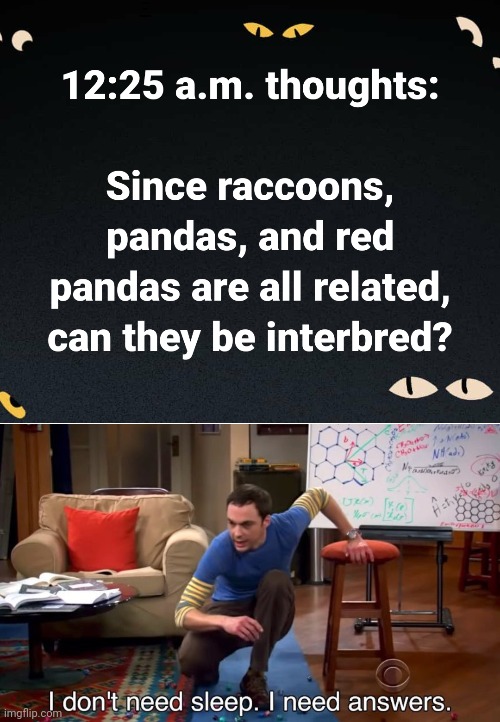 Thanks, brain! | 12:25 a.m. thoughts:; Since raccoons, pandas, and red pandas are all related, can they be interbred? | image tagged in i don't need sleep i need answers,memes,trash pandas,red pandas,raccoons,scumbag brain | made w/ Imgflip meme maker