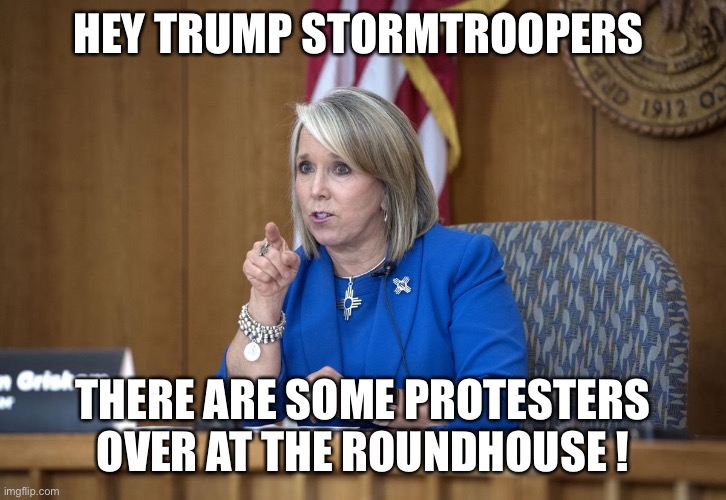 Queen Grisham Says | HEY TRUMP STORMTROOPERS; THERE ARE SOME PROTESTERS OVER AT THE ROUNDHOUSE ! | image tagged in queen grisham says | made w/ Imgflip meme maker