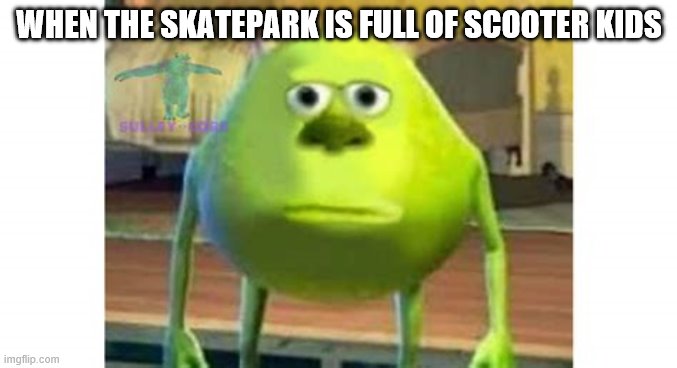 mike | WHEN THE SKATEPARK IS FULL OF SCOOTER KIDS | image tagged in mike | made w/ Imgflip meme maker