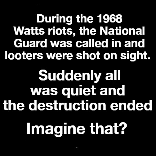 Imagine that? | During the 1968 Watts riots, the National Guard was called in and looters were shot on sight. Suddenly all was quiet and the destruction ended; Imagine that? | image tagged in race riots,anarchy,seattle,portland,national guard,martial law | made w/ Imgflip meme maker