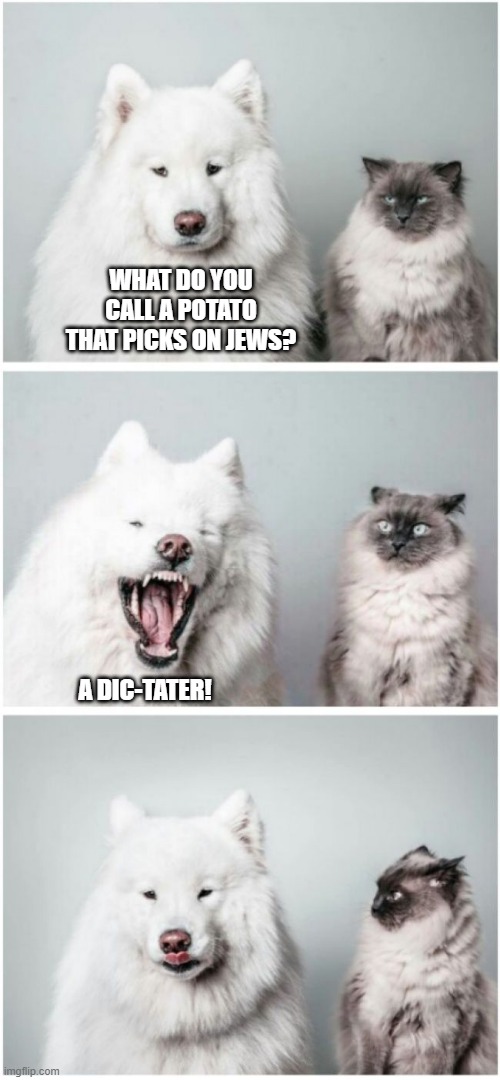 Dog telling cat joke | WHAT DO YOU CALL A POTATO THAT PICKS ON JEWS? A DIC-TATER! | image tagged in dog telling cat joke,cat memes,dog memes,cat meme,bad jokes,puns | made w/ Imgflip meme maker