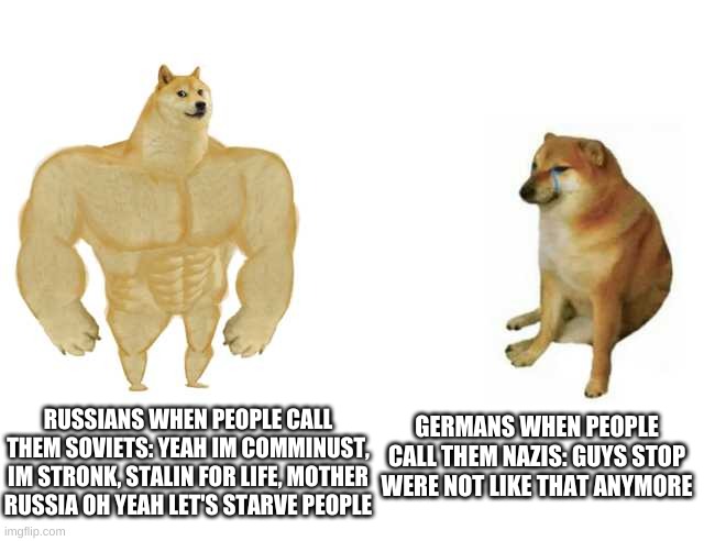 Buff Doge vs. Cheems Meme | GERMANS WHEN PEOPLE CALL THEM NAZIS: GUYS STOP WERE NOT LIKE THAT ANYMORE; RUSSIANS WHEN PEOPLE CALL THEM SOVIETS: YEAH IM COMMINUST, IM STRONK, STALIN FOR LIFE, MOTHER RUSSIA OH YEAH LET'S STARVE PEOPLE | image tagged in strong doge weak doge | made w/ Imgflip meme maker