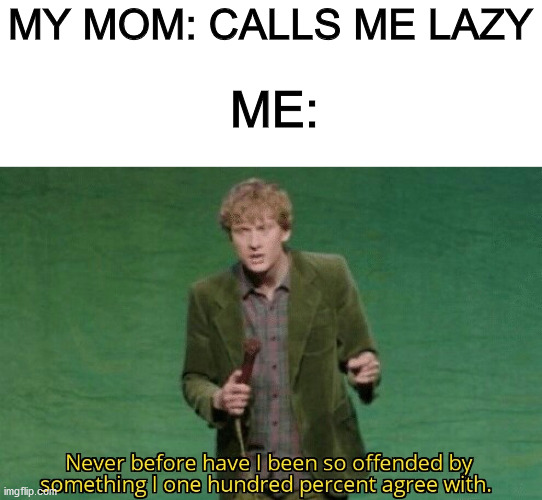 Never before have I been so offended by something I one hundred | MY MOM: CALLS ME LAZY; ME: | image tagged in never before have i been so offended by something i one hundred | made w/ Imgflip meme maker