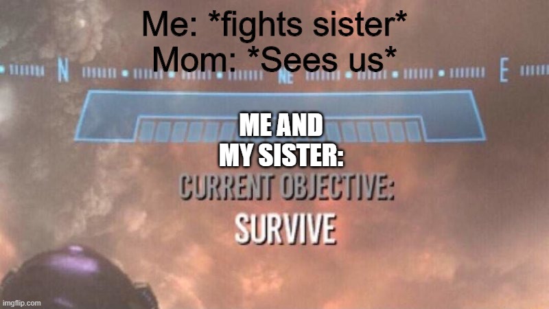 This is totally true | Me: *fights sister*
Mom: *Sees us*; ME AND MY SISTER: | image tagged in current objective survive,mom angry,me and my sister | made w/ Imgflip meme maker