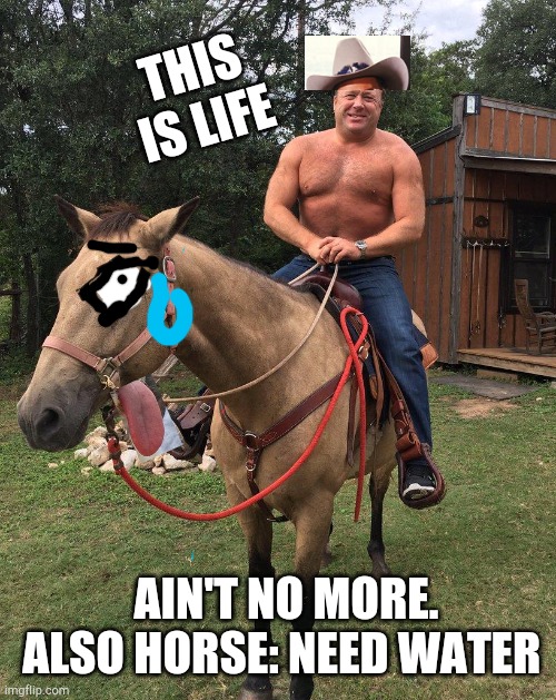 Cowboy Jones | THIS IS LIFE; AIN'T NO MORE.
ALSO HORSE: NEED WATER | image tagged in alex cojones | made w/ Imgflip meme maker