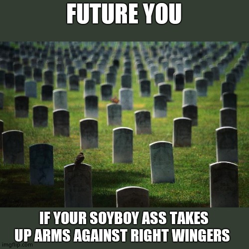 graveyard cemetary | FUTURE YOU IF YOUR SOYBOY ASS TAKES UP ARMS AGAINST RIGHT WINGERS | image tagged in graveyard cemetary | made w/ Imgflip meme maker