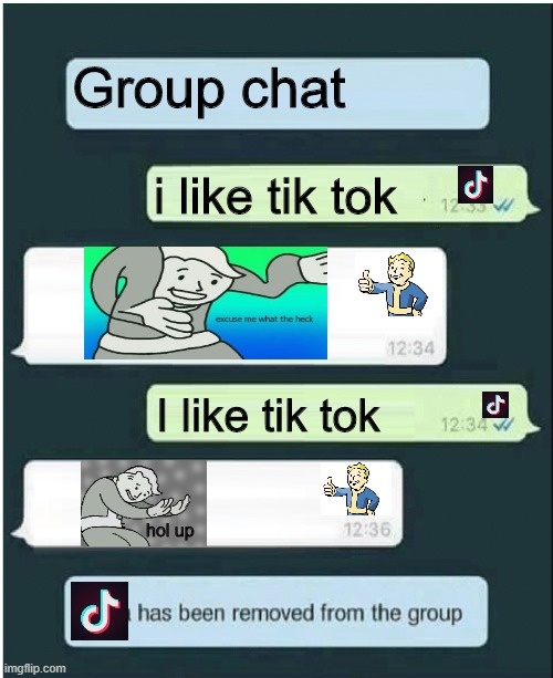 Hippity Hoppity Tikkity Tokkity Tik 'n'a,Tokkity got trashity by talkkity | Group chat; i like tik tok; I like tik tok; hol up | image tagged in whatsapp,fallout hold up,fall out boy,fallout excuse me what the heck | made w/ Imgflip meme maker