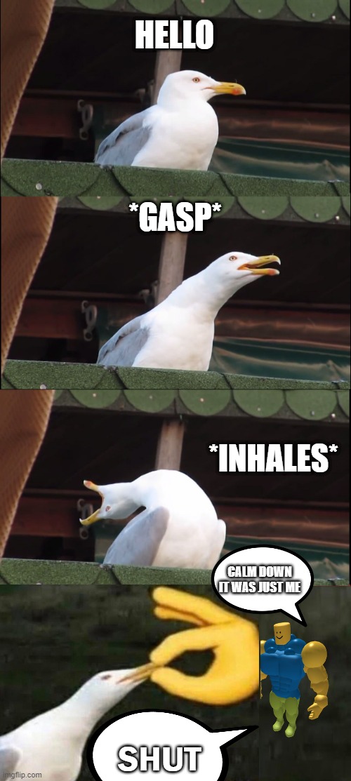Inhaling Seagull | HELLO; *GASP*; *INHALES*; CALM DOWN IT WAS JUST ME; SHUT | image tagged in memes,inhaling seagull | made w/ Imgflip meme maker