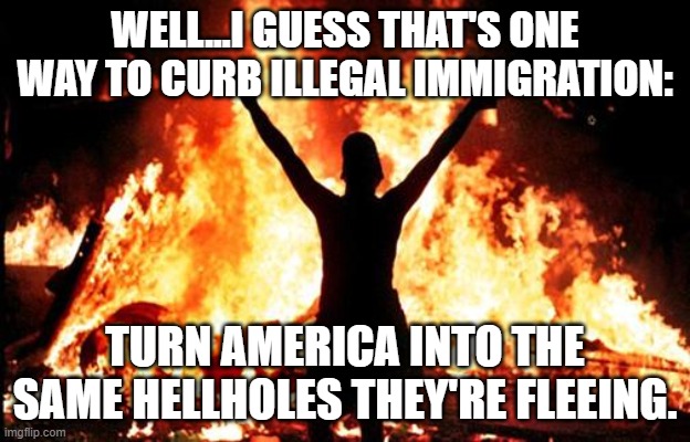 If America Goes Down, The World Will Quickly Follow. | WELL...I GUESS THAT'S ONE WAY TO CURB ILLEGAL IMMIGRATION:; TURN AMERICA INTO THE SAME HELLHOLES THEY'RE FLEEING. | image tagged in riot_image,illegal immigration,stopped | made w/ Imgflip meme maker